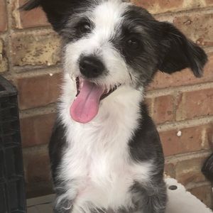 Meet your Posher, Gloria